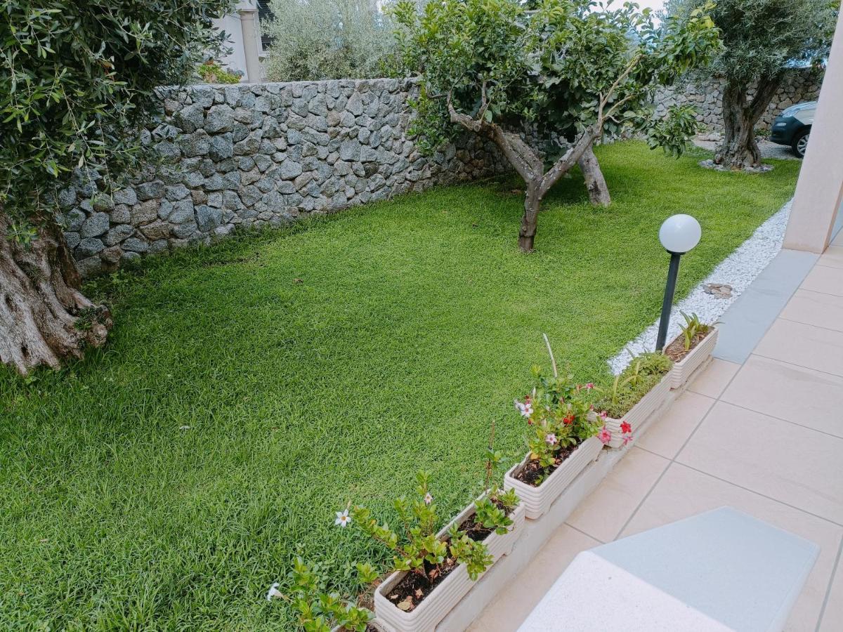 B&B Villa Orchidea Рикади Екстериор снимка